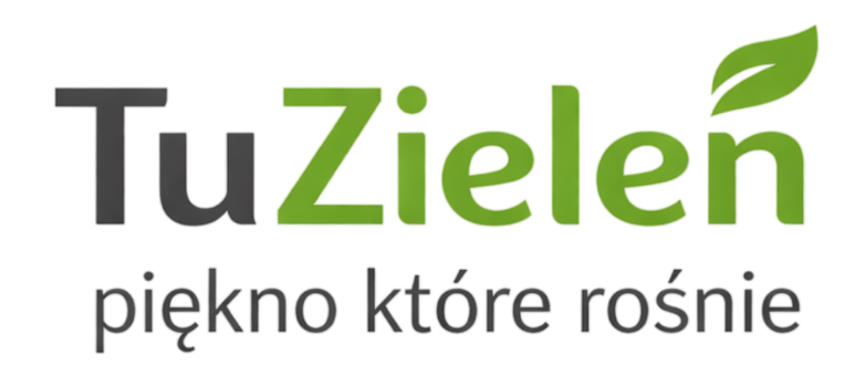 Tu zieleń