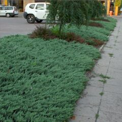 6038497195_d308d27200_o-e1642412228268.jpg