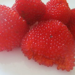 800px-rubus_illecebrosus_zemuogine_aviete.jpeg