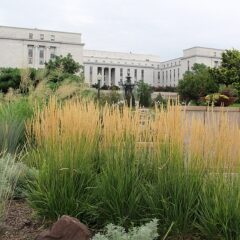 800px-u.s._botanic_garden_in_july_23795954415.jpg