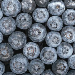 blueberry-5508325_1920-1620x1080-1.jpg
