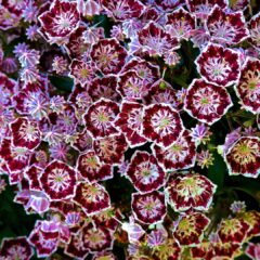 tad4-1337x1080-1.jpg